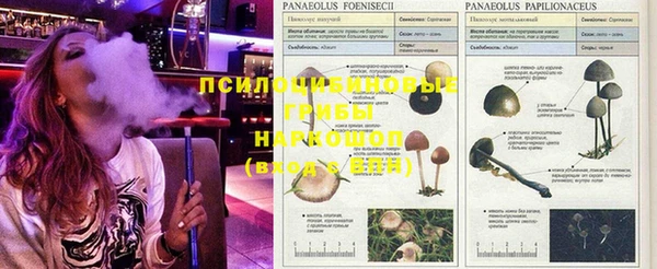 твердый Зеленокумск