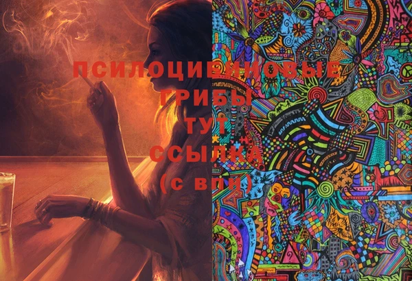 твердый Зеленокумск