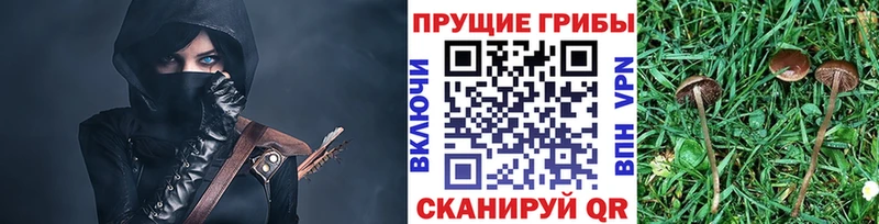 Галлюциногенные грибы GOLDEN TEACHER  Купить  Канск 